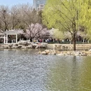 北京旅游 缩略图 8