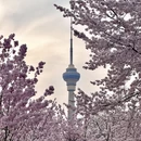 北京旅游 缩略图 3