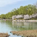 北京旅游 缩略图 15