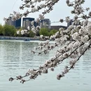 北京旅游 缩略图 16