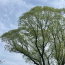 北京旅游 缩略图 14