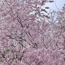北京旅游 缩略图 7