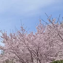 北京旅游 缩略图 17