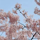 北京旅游 缩略图 7