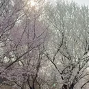 北京旅游 缩略图 8