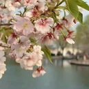 北京旅游 缩略图 10