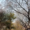 北京旅游 缩略图 13