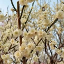 北京旅游 缩略图 15