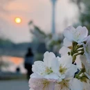 北京旅游 缩略图 16