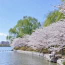 北京旅游 缩略图 5
