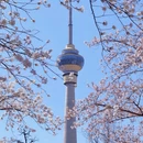 北京旅游 缩略图 1
