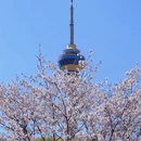 北京旅游 缩略图 3