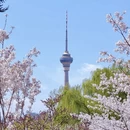 北京旅游 缩略图 2