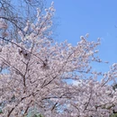 北京旅游 缩略图 7