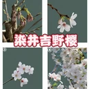 北京旅游 缩略图 3