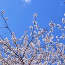北京旅游 缩略图 8