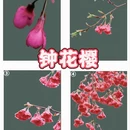 北京旅游 缩略图 5