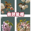北京旅游 缩略图 4