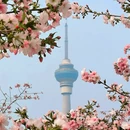 北京旅游 缩略图 9