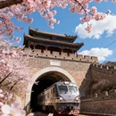 北京旅游 缩略图 7