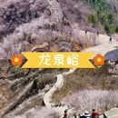 北京旅游 缩略图 2