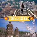 北京旅游 缩略图 5