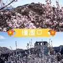 北京旅游 缩略图 6