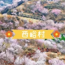 北京旅游 缩略图 3