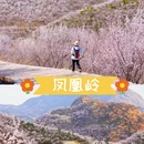 北京旅游 缩略图 7