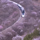 北京旅游 缩略图 1