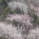 北京旅游 缩略图 2