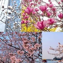 北京旅游 缩略图 2