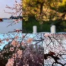 北京旅游 缩略图 3