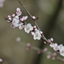北京旅游 缩略图 2