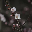 北京旅游 缩略图 8