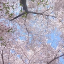 北京旅游 缩略图 1