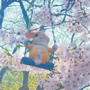 北京旅游 缩略图 2