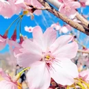 北京旅游 缩略图 3