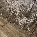 北京旅游 缩略图 5