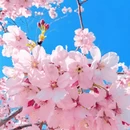 北京旅游 缩略图 2