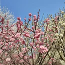 北京旅游 缩略图 2