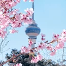 北京旅游 缩略图 1