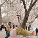 北京旅游 缩略图 4
