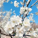 北京旅游 缩略图 5