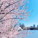 北京旅游 缩略图 9