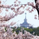 北京旅游 缩略图 2