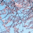 北京旅游 缩略图 8