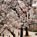 北京旅游 缩略图 1