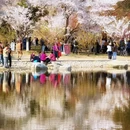 北京旅游 缩略图 1