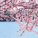 北京旅游 缩略图 7